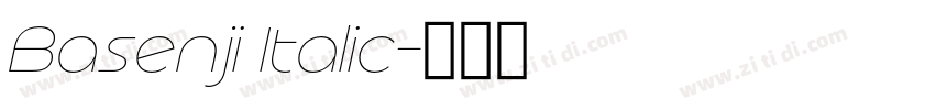 Basenji Italic字体转换